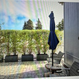 Lot #163 - Blue Outdoor Patio Market Umbrellas - 6'