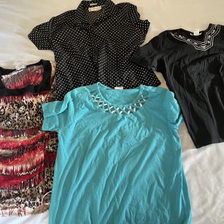 Lot #6 - 4 Ladies Blouses