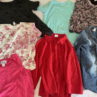 Lot #20 - 7 Ladies Blouses
